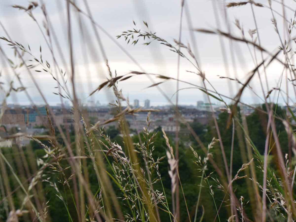 American Mythologies, #4: The Catcher in the Rye is [not] a sophomoric over-rated novel about teen angst