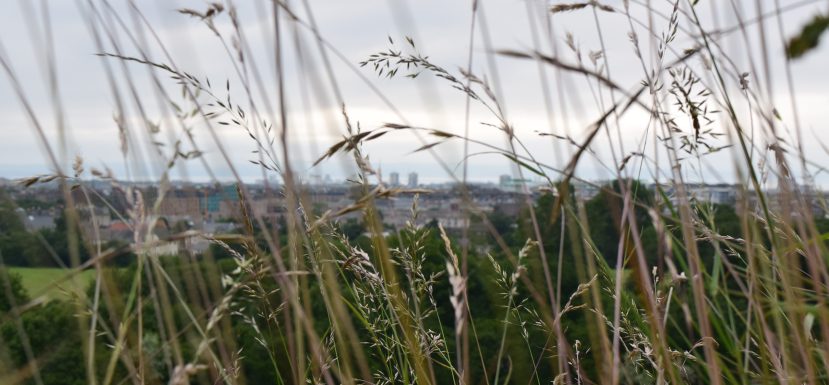 American Mythologies, #4: The Catcher in the Rye is [not] a sophomoric over-rated novel about teen angst