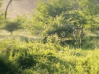 Letter from the Editor