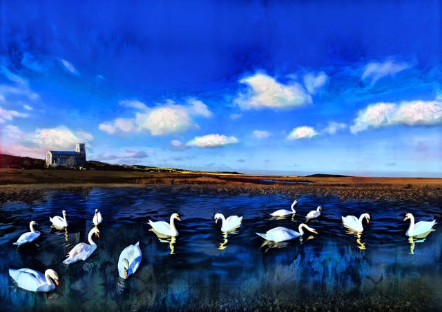 Magpie Mix Tape: Lack of Knowledge About Birds