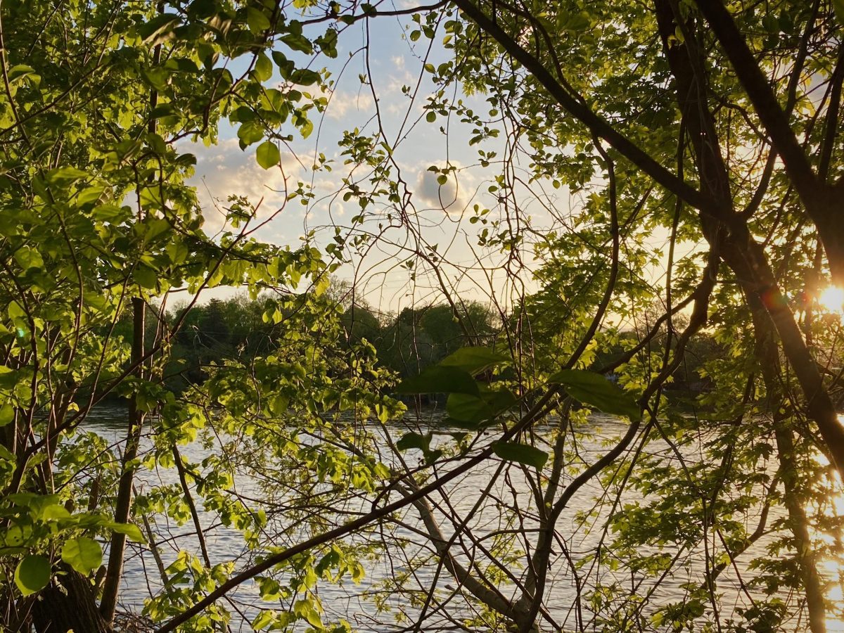 Why I Love: You (Letter to a Relative)