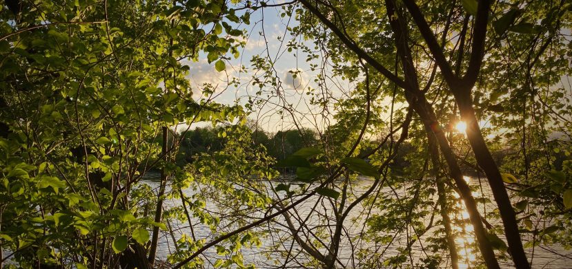 Why I Love: You (Letter to a Relative)