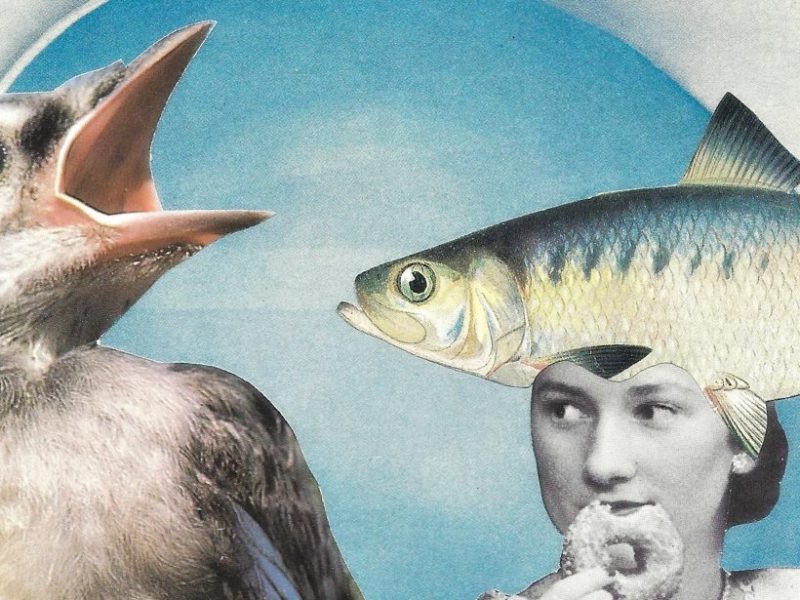 Katherine Minott: Finding My Scissors