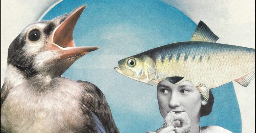 Katherine Minott: Finding My Scissors