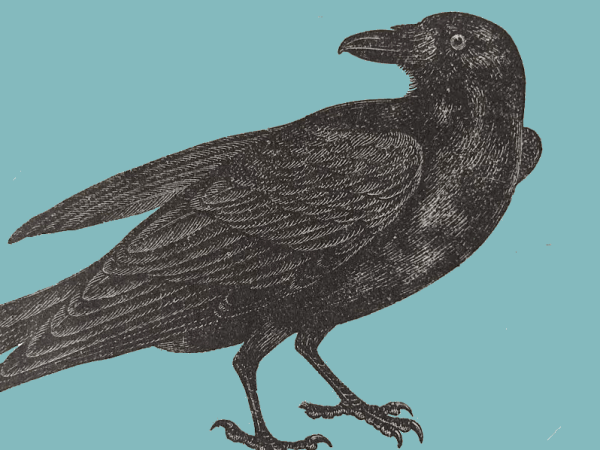 Thinking Makes it So: Platon Karataev and Epictetus