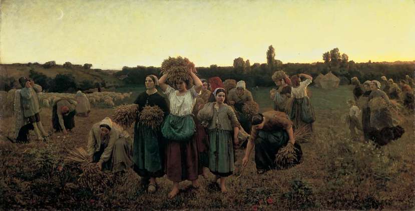 Gleaning: Wasteland & The Gleaners and I