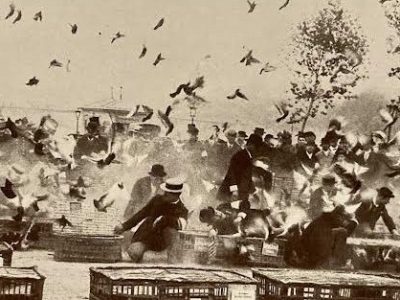 Magpie Mix Tape: Songs of Freedom