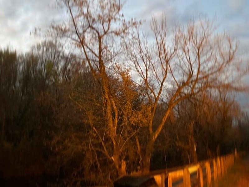 Letter from the Editor: January