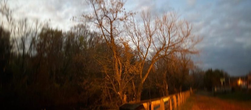 Letter from the Editor: January