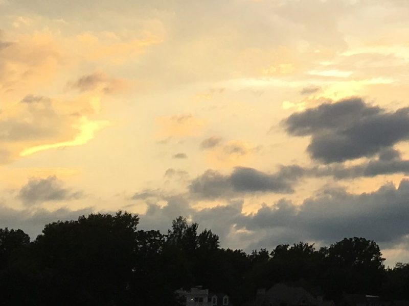 Fiction: Every Valley Wide