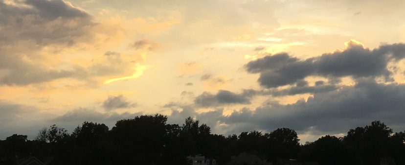 Fiction: Every Valley Wide