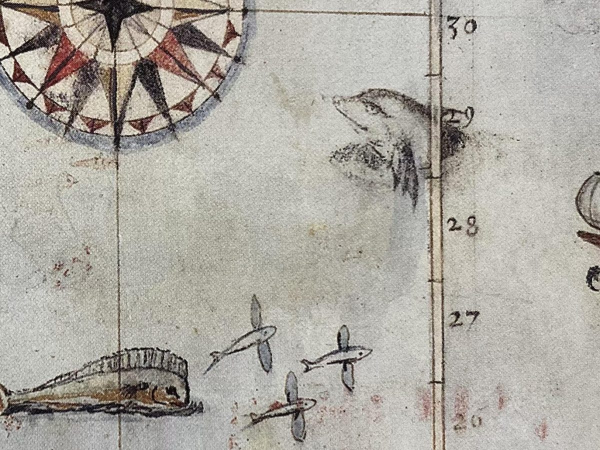 Island of Star-Crossed Lovers