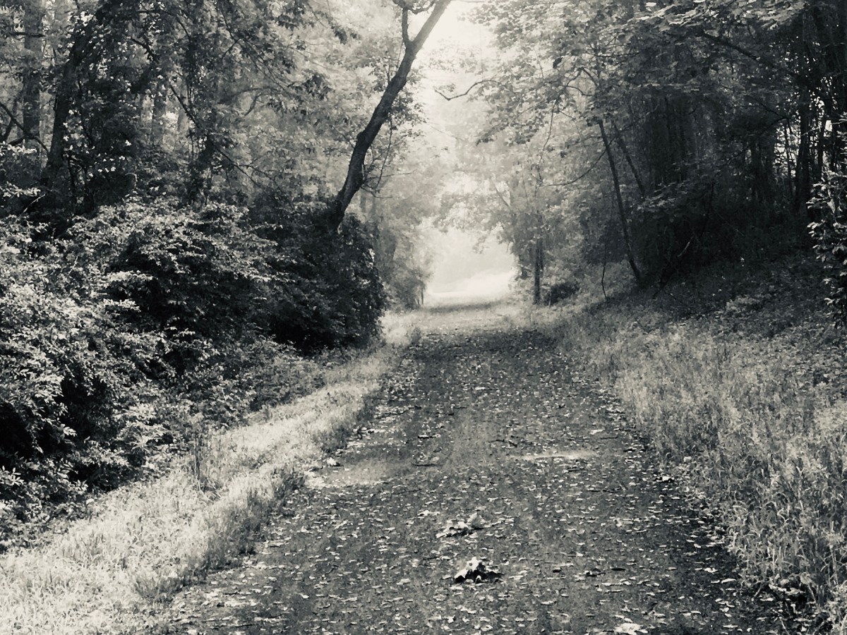 Letter From the Editor: February