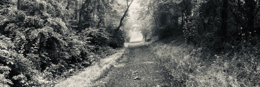 Letter From the Editor: February