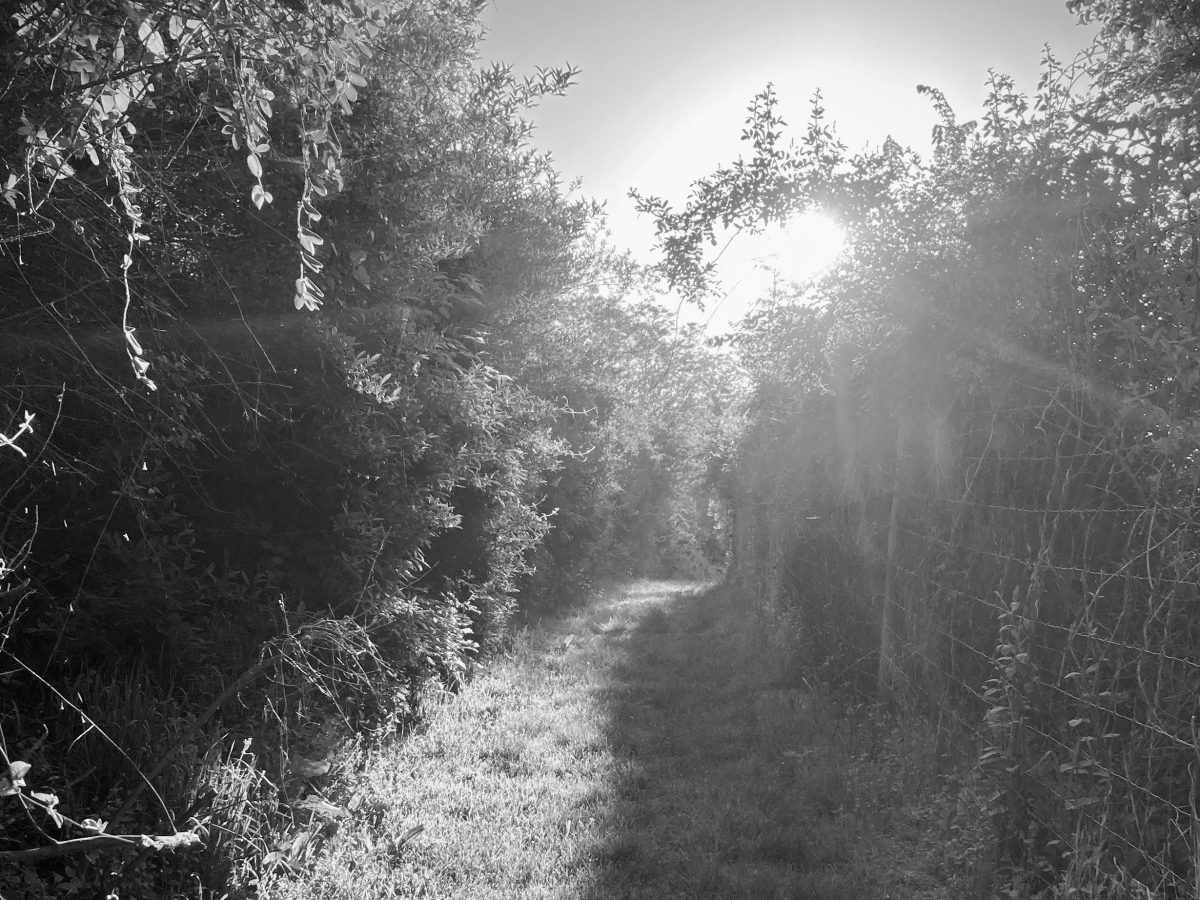 What is the use of talking? (Letter from the editor, April.)