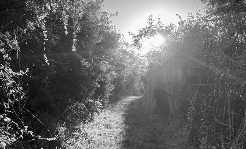 What is the use of talking? (Letter from the editor, April.)