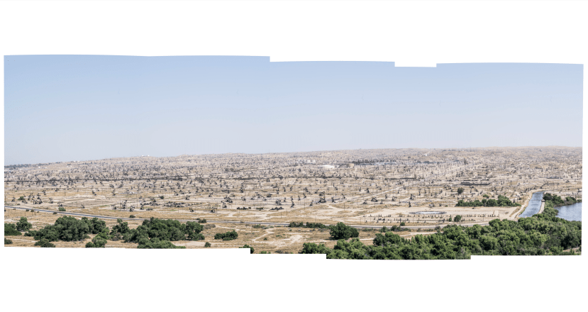 Fortunes in Apples: Photo Essay by Mark Ludak