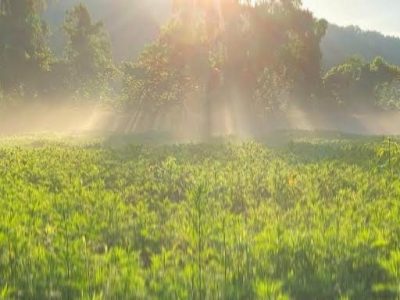 Letter From the Editor: June