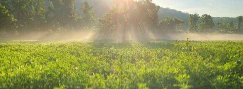 Letter From the Editor: June