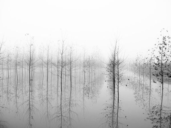 Cristina Finotto: Poems and Photographs