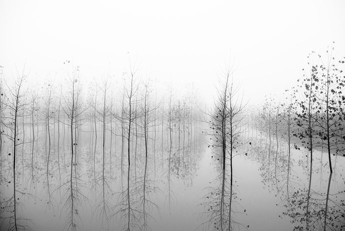 Cristina Finotto: Poems and Photographs