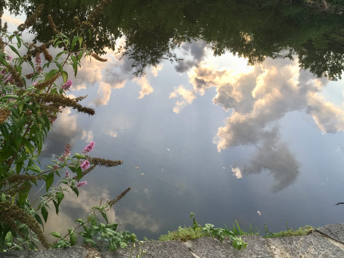 Flash Fiction: How skinny the leash, how thin the arms that hold me.