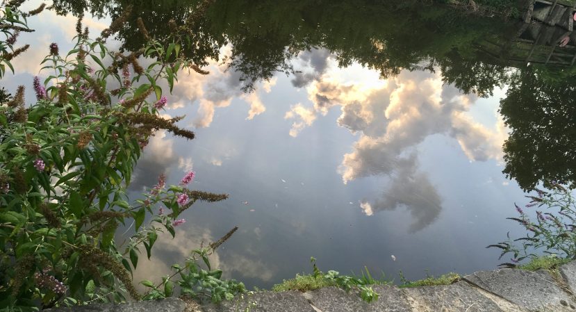 Flash Fiction: How skinny the leash, how thin the arms that hold me.