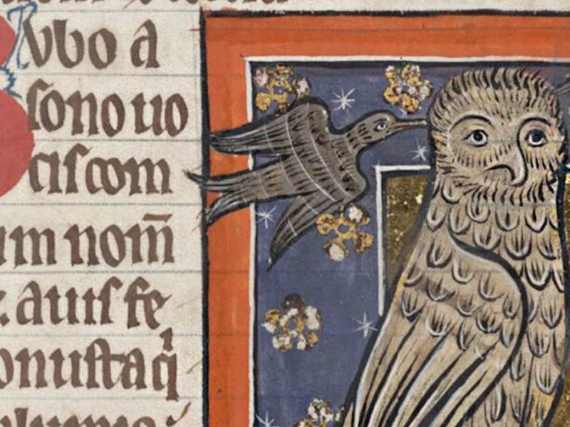 Letter From the Editor July: Words and Silence