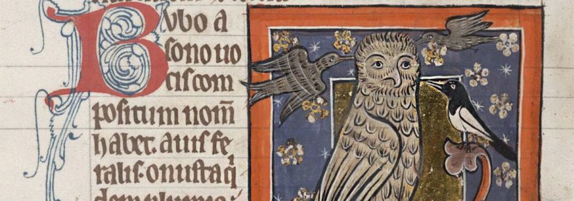 Letter From the Editor July: Words and Silence