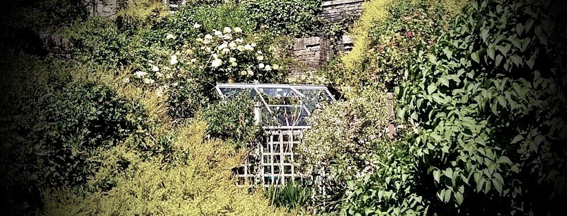 Tom Titanic, A Cautionary Tale