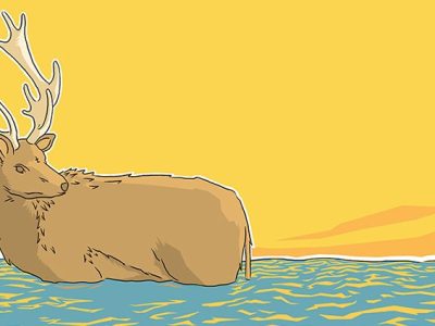 Sea Creatures Stared at Us and We Stared Back at Them