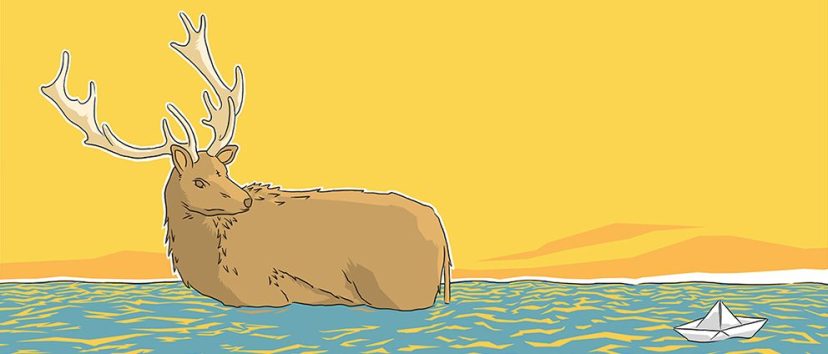 Sea Creatures Stared at Us and We Stared Back at Them