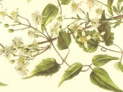 Letter From the Editor: It might be our anniversary.