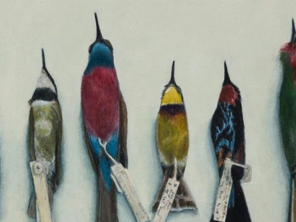 Gabriela Domville: Preserve Collection