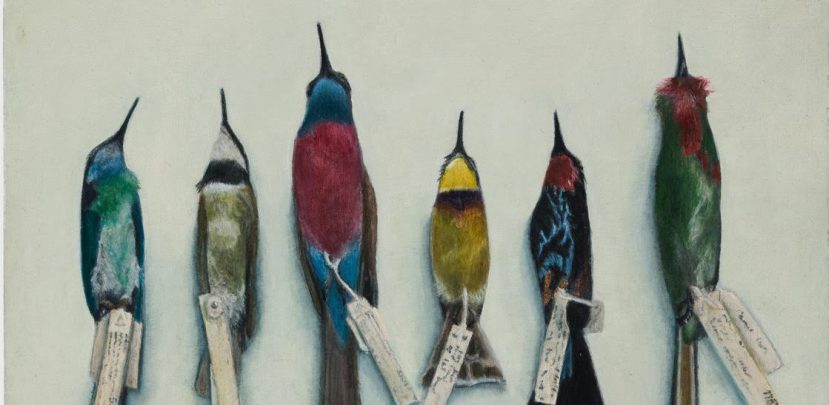 Gabriela Domville: Preserve Collection