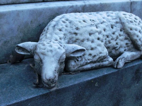 Necropolis, a film by Marc Reed