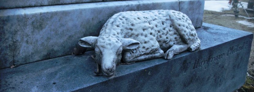 Necropolis, a film by Marc Reed