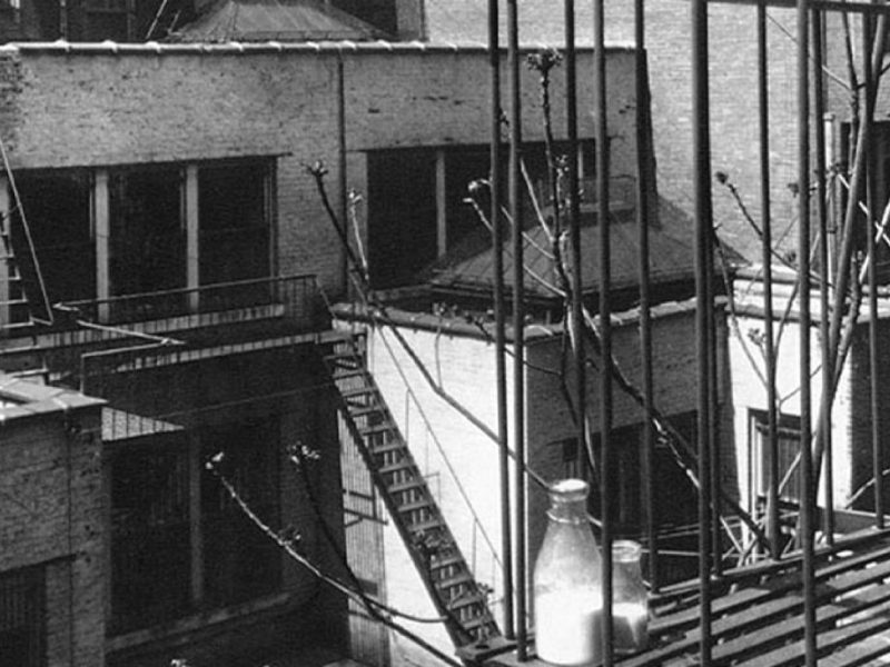 Flash Fiction: You Can’t Tell