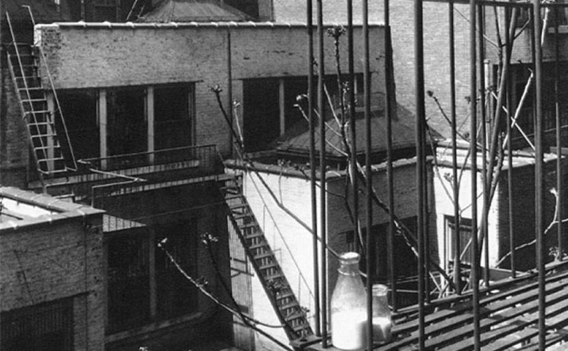 Flash Fiction: You Can’t Tell