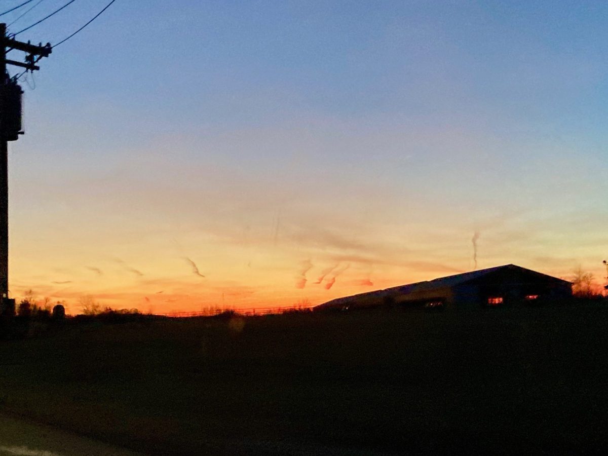 Letter from the editor: November 2022