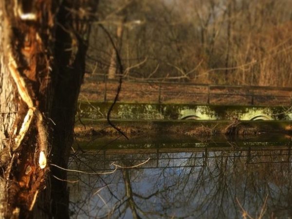 Letter From the Editor: November Hopeful