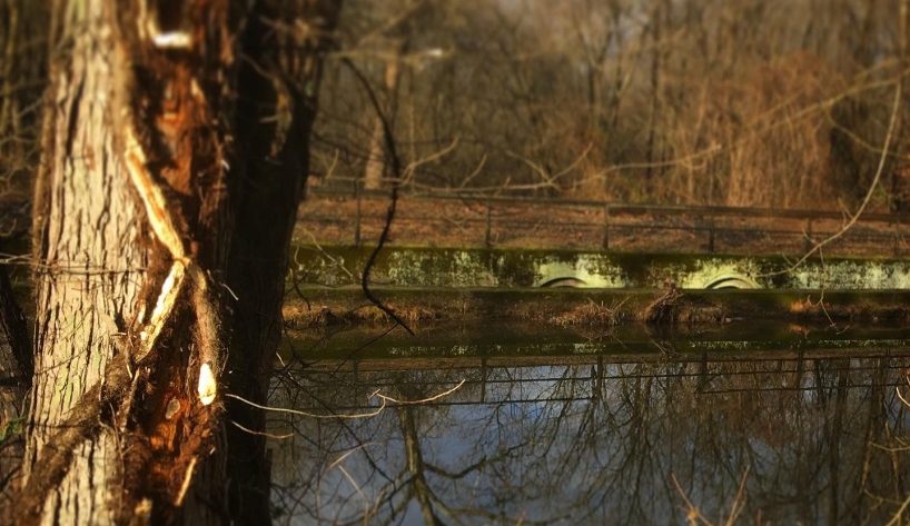 Letter From the Editor: November Hopeful