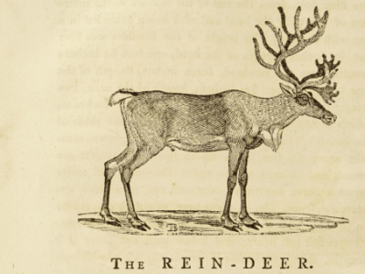 Magpies Mix Tape: Cool Yule