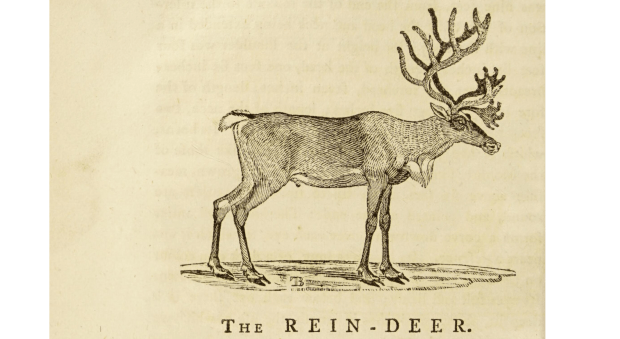 Magpies Mix Tape: Cool Yule