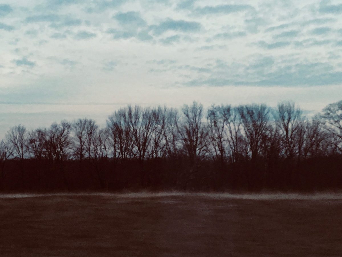 Imaginary Jobs: Institute for the Study of Time Passing