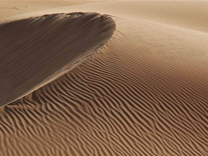 Expat Questionnaire: Peter Atkinson