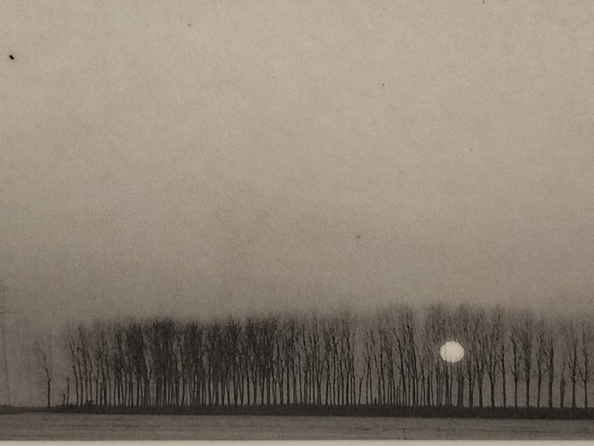 Poesie del Silenzio/Poems of Silence: Michele Farinelli