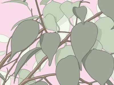 An Interview with Parent Teacher: Infrequently Asked Questions