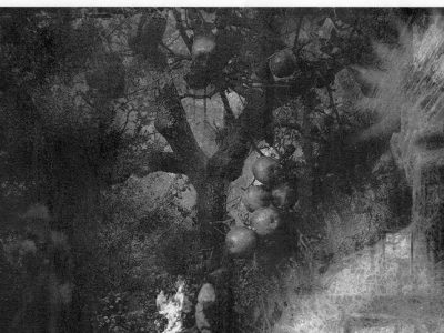 An Explanation of Sympathetic Magic: A Photo Essay