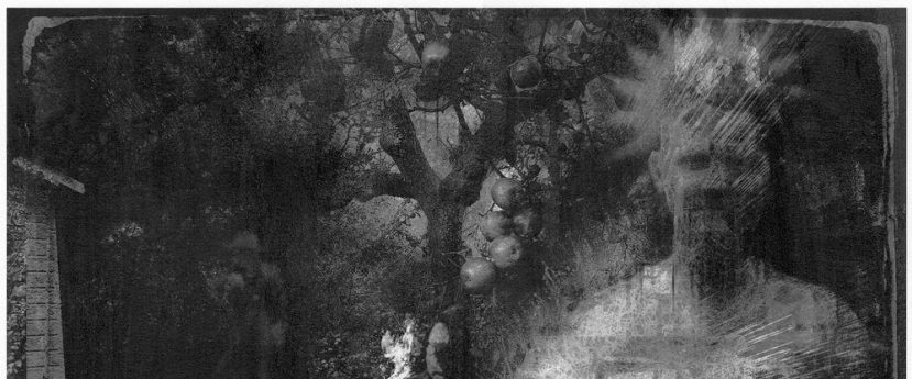 An Explanation of Sympathetic Magic: A Photo Essay